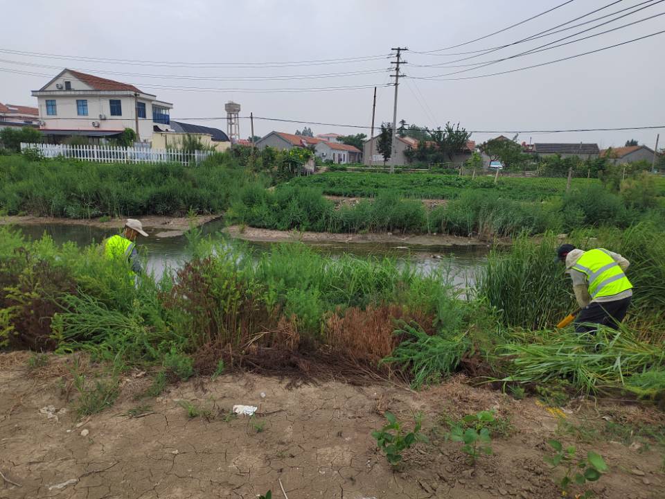 QQ图片20250807092715