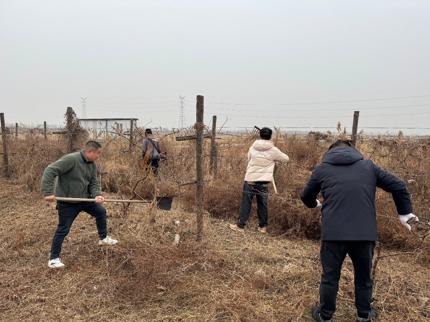 微信图片_20260108091726_6_43