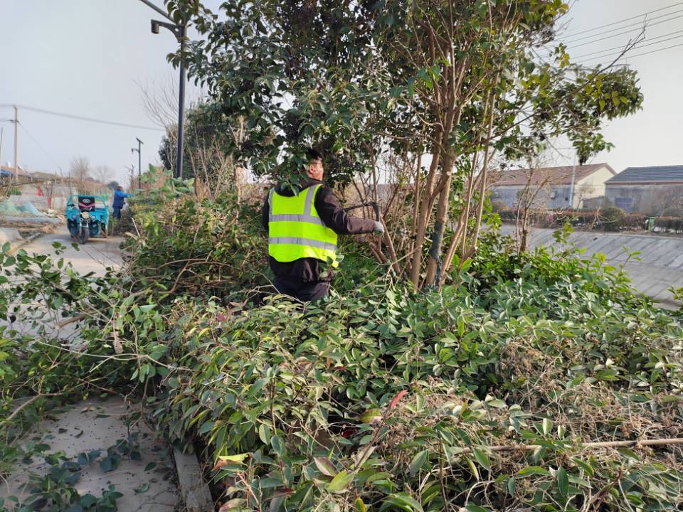 QQ图片20260116103114