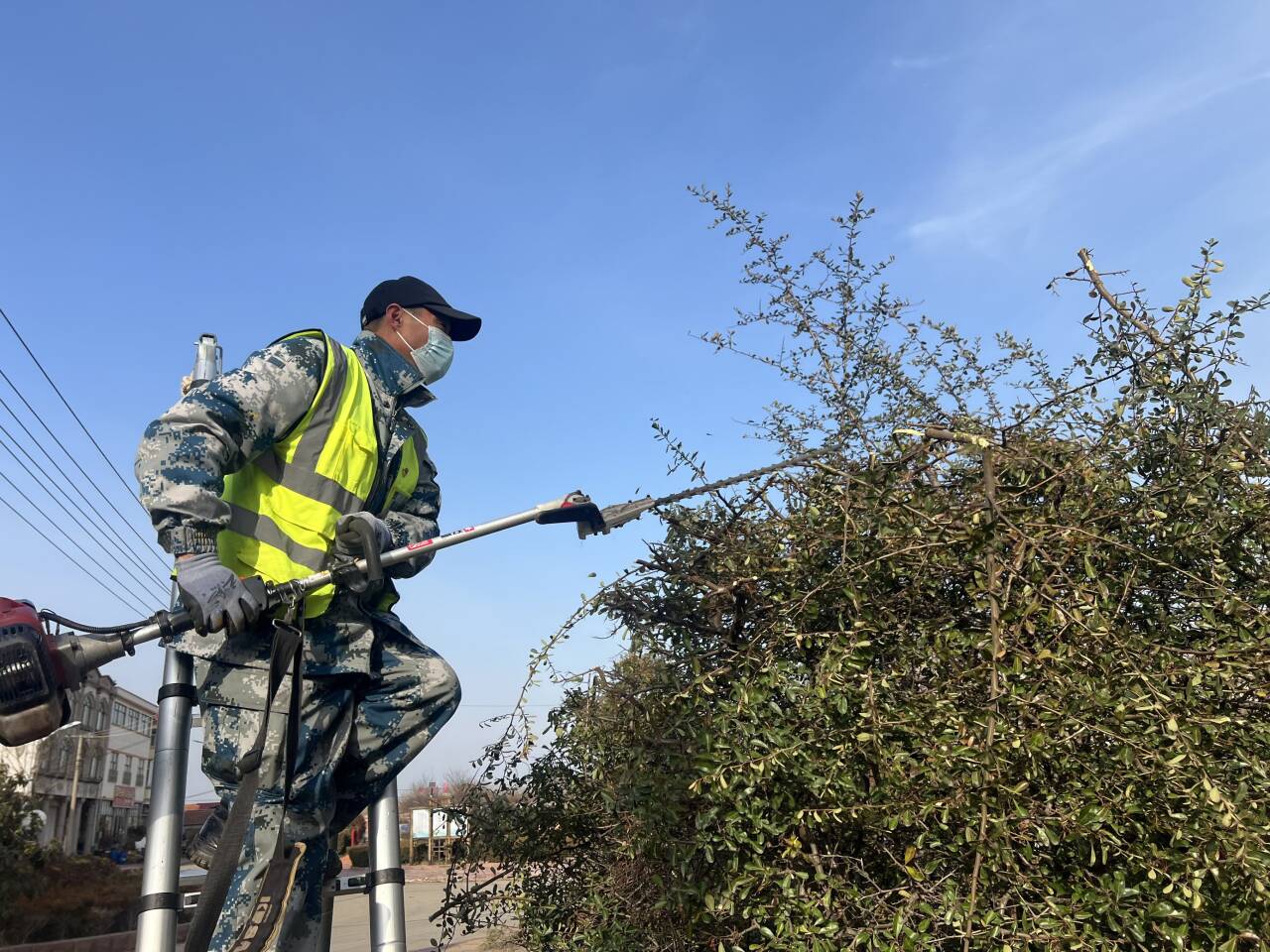 冬季绿化修整