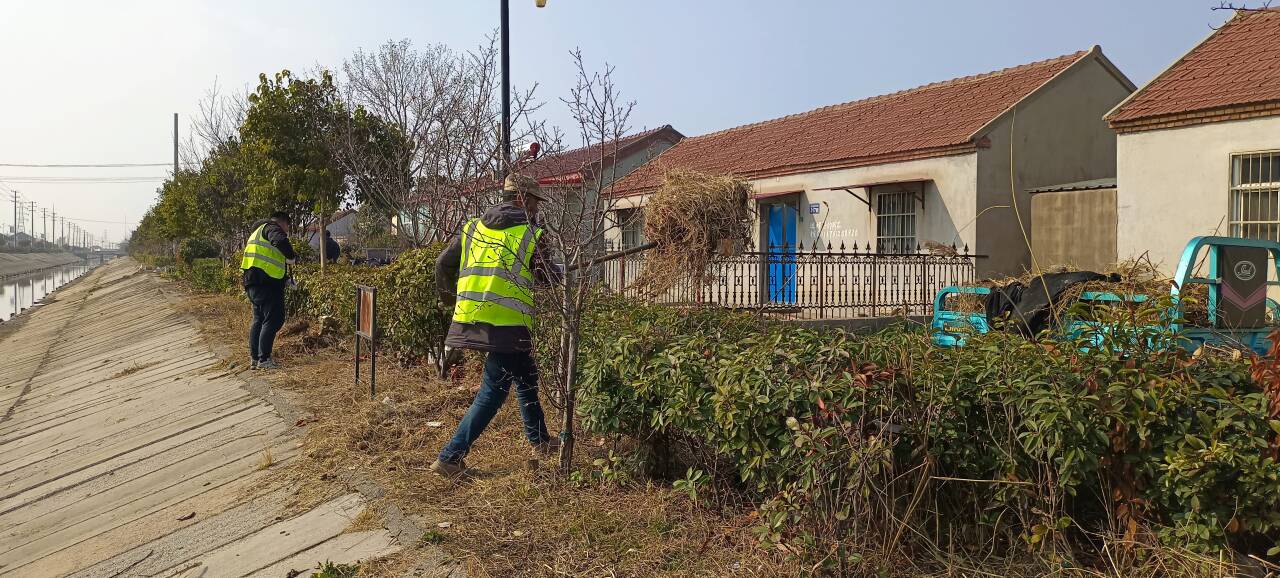 QQ图片20260313082644