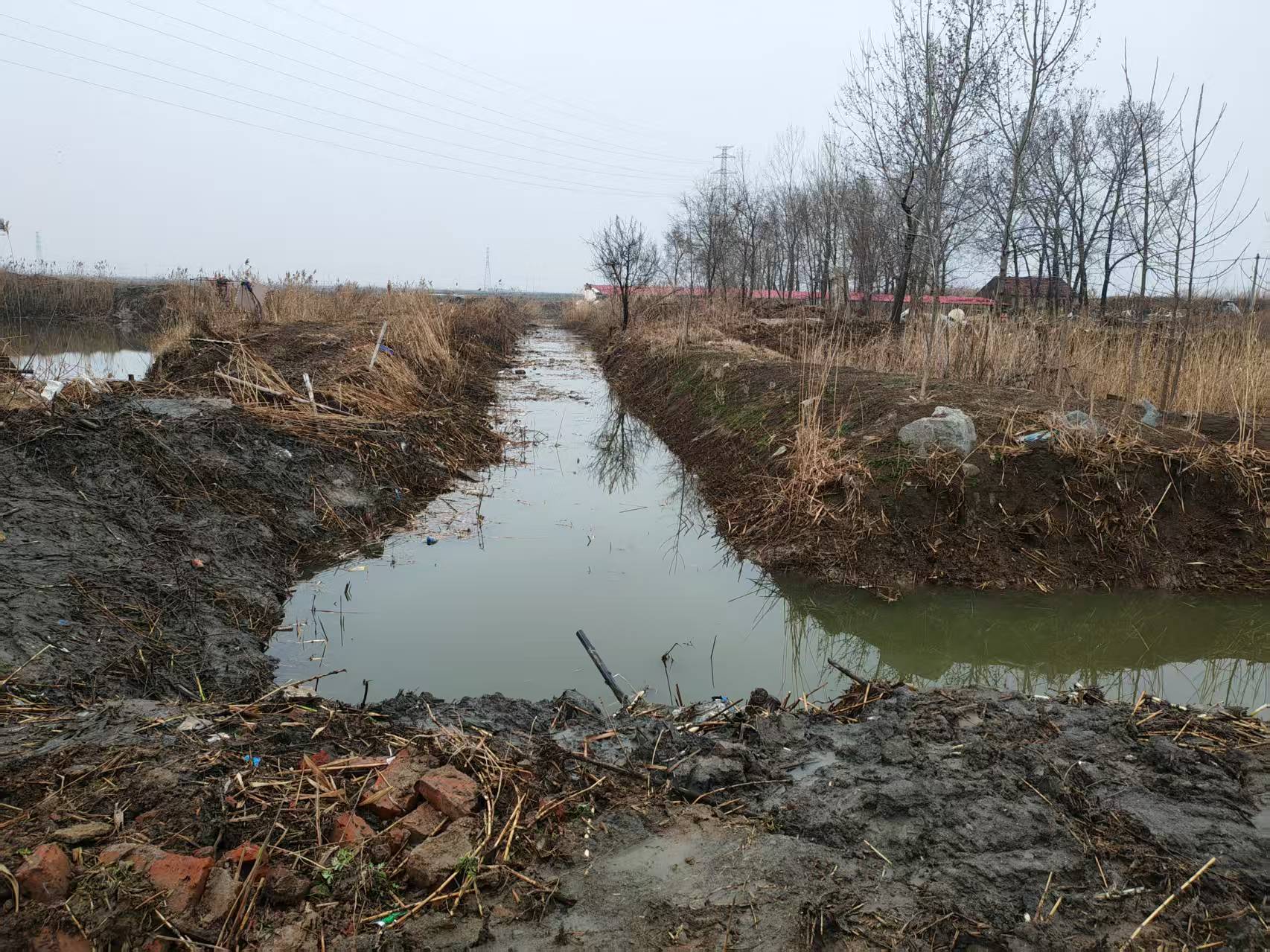 QQ图片20260320144249