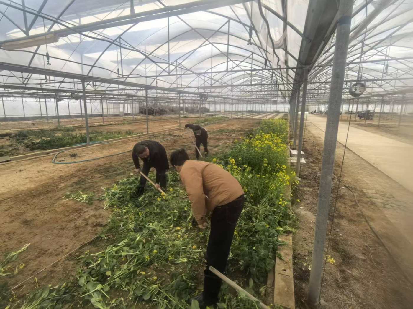 仓储中心除草_副本