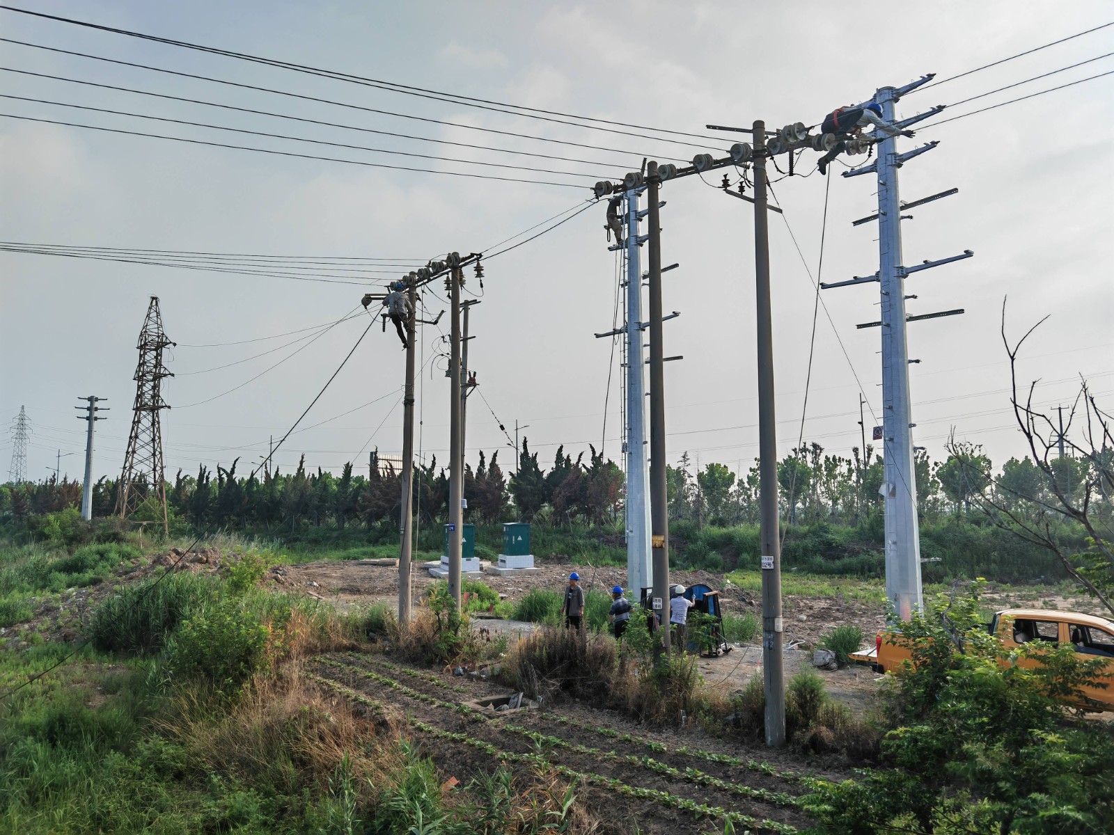 1689641450882057932.jpg 徐南战高温(1).jpg