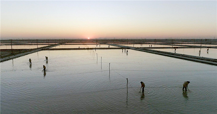 盐滩的女人1.png 盐滩的女人1.png