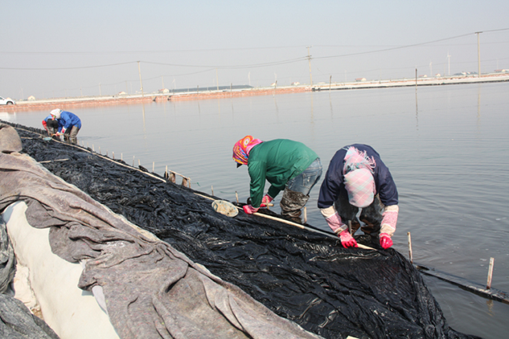 盐滩的女人3.png 盐滩的女人3.png